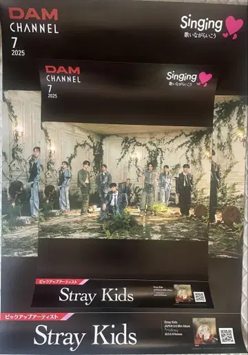 Stray Kids DAM CHANNEL 포스터 2025