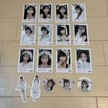 LARME x 타카네노 나데시코 미니 포토 카드 스티커