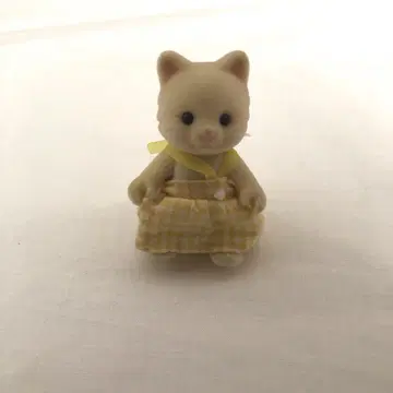 실바니안 패밀리 크림 고양이
