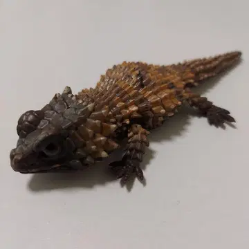 아르마딜로 도마뱀 모자이크 생물대도감 레프티