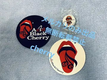 acid black cherry 공식 투어 스티커 2장 캔뱃지 1개