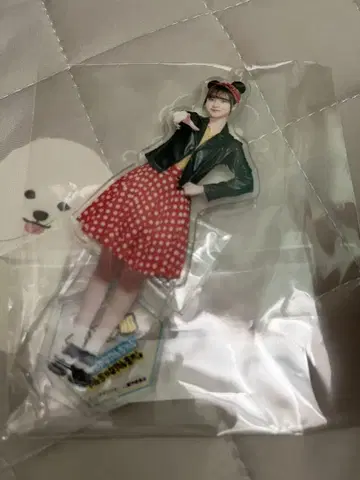 카네가와 사야 아크릴 스탠드 키링 장난꾸러기 삐삐 스키츠 LIVE