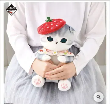 제일복권 모프 샌드 B상 후르츠 샌드 냥의 다키시메 봉제 인형