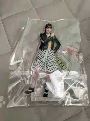 카키 하야카 노기자카 스키츠 아크릴 스탠드 아크릴 스탠드 노기자카46