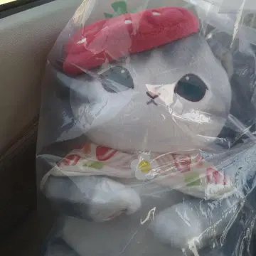 딸기 모자 고양이 봉제 인형 모프 샌드 후르츠 B상 1번 복권