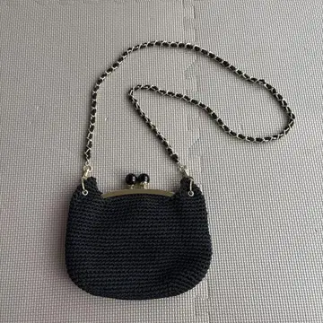 츠모리치사토 고양이 백