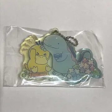 코닥은 노텐키 아크릴 참 누오