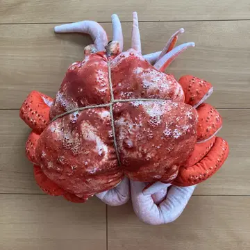 리얼 게 초대형 봉제 인형 도서 대게