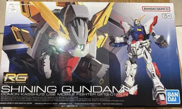 RG 샤이닝 건담