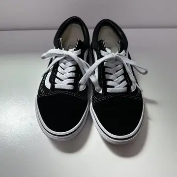 VANZ 올드 스쿨 24.5cm