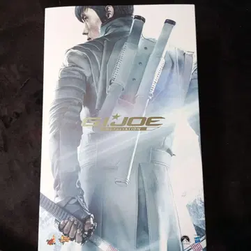 핫토이즈 G.I. 조 스톰 섀도우 이병헌 1/6 닌자