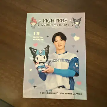 닛폰햄 파이터즈 트레이딩 카드 야마사키 사치야 마이멜로디 산리오