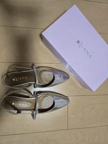 DIANA의 백 스트랩 펌프스