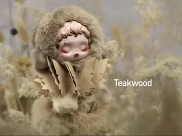 SKULLPANDA L'impressionnisme Teakwood