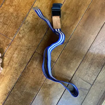 간류 벨트