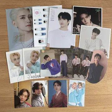 세븐틴 세부치 조슈아 정리