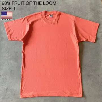 90's USA 제 프룻 오브 더 룸 무지