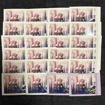 프로세카 파샤코레 vol.5 마후유