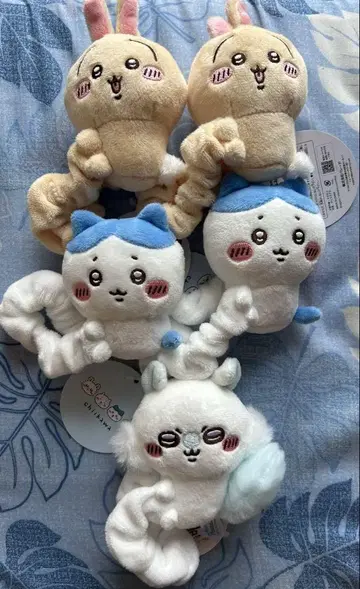 치이카와 (먼작귀) 봉제 인형 스크런치 세트