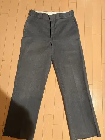 USA제 디키즈 874