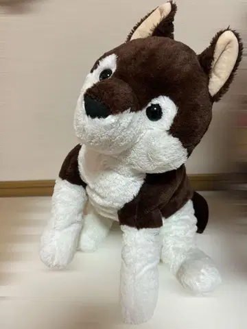 강아지 봉제 인형 브라운 & 화이트