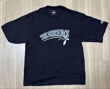 THE NORTH FACE 티셔츠 2장 세트 L 사이즈 화이트, 블랙