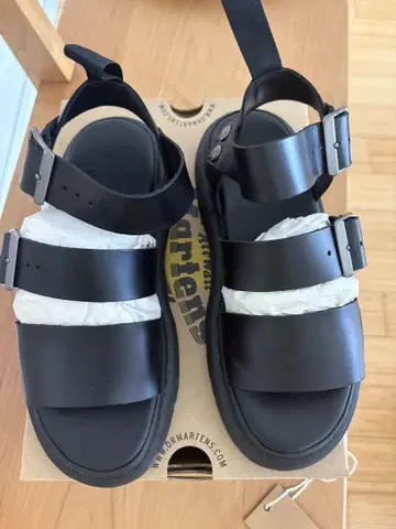 닥터 마틴 GRYPHON 15695001