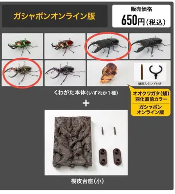 생물대도감 장수풍뎅이10 가샤폰 온라인판 2종