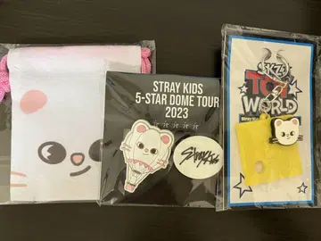 straykids 스키즈 FC 복권 지니 레트