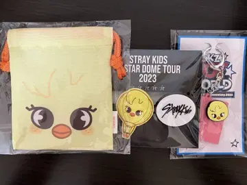 straykids 스키즈 FC 복권 폭아리