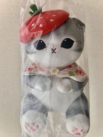 제일복권 mofusand B상 후르츠 샌드 냥이 다키시메 봉제 인형