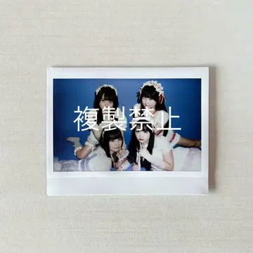 삐삐 소리 내보세요. 모두 모여 폴라로이드 사진 찍자!