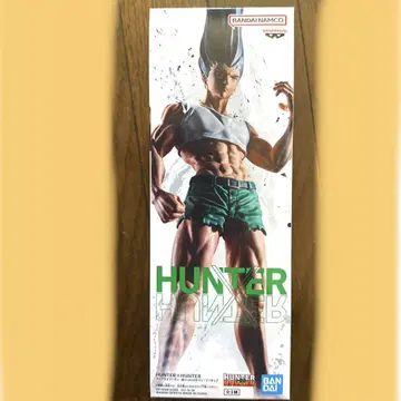 HUNTER x HUNTER 피규어 곤