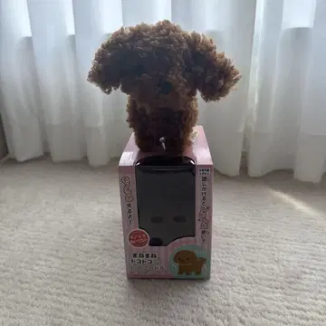 따라하는 토코토코 토이 푸들