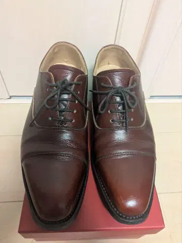 리걸 25cm