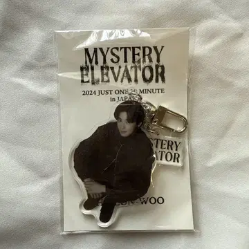 MYSTERY ELEVATOR 차은우 아크릴 키링