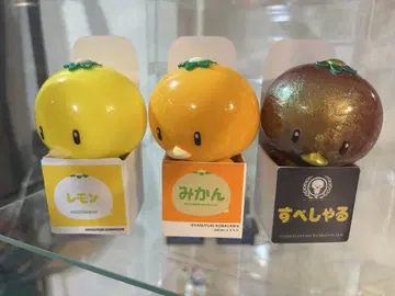 귤 세트
