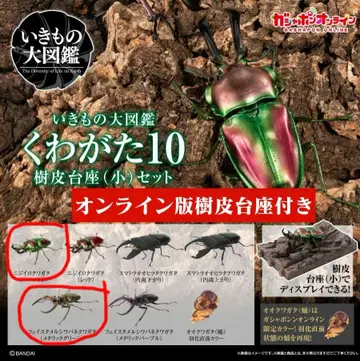 생물대도감 장수풍뎅이 10 니지이로쿠와가타 페이스 메탈 주름바네쿠와가타