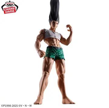 HUNTER x HUNTER 히소카 피규어