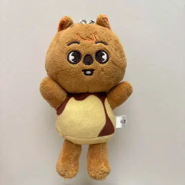 스키즈 한 한쿼카 백참 skzoo 푸딩