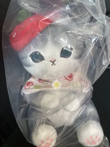 제일복권 mofusand B상 후르츠 샌드 냥의 껴안는 봉제 인형