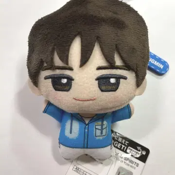 TWS 경민 SD 인형  PLEDIS