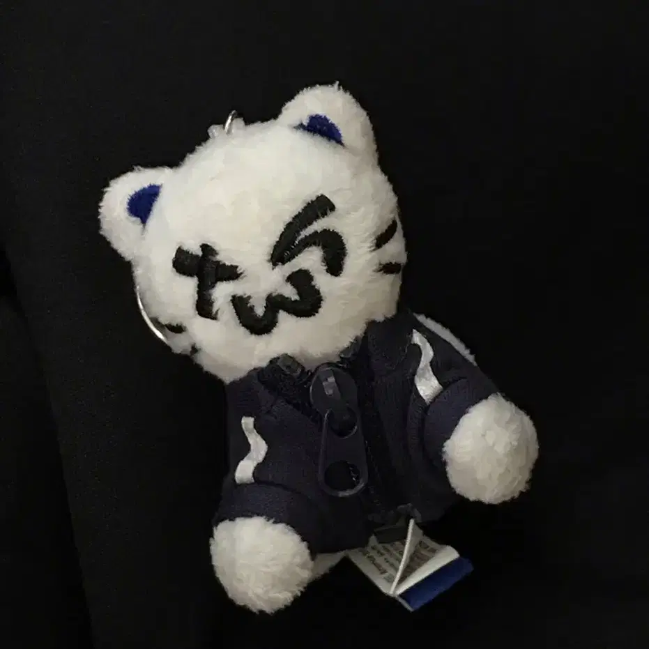 TWS | 투어스 Tws 1st Anniversary Tunyangi Keyring #투어스