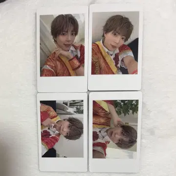파치 하피카 팬더 드래곤