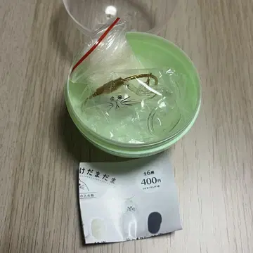 우리 아이의 털뭉치 구슬 노멀 가챠