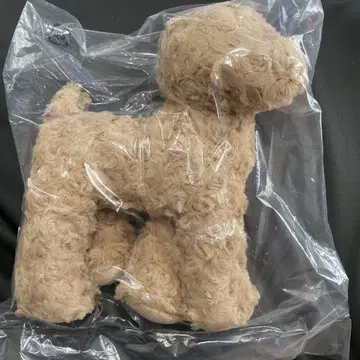 토이 푸들 타치누이 봉제 인형