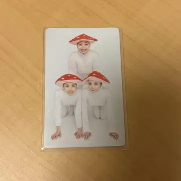쿠레마구 아사미 메이 에어 우란 집합 트레이딩 카드