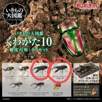 생물대도감 장수풍뎅이 10 온라인판
