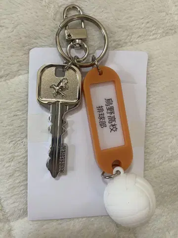 하이큐 트레이딩 고등학교 이름이 들어간 열쇠 참 키링 카라스노 고교