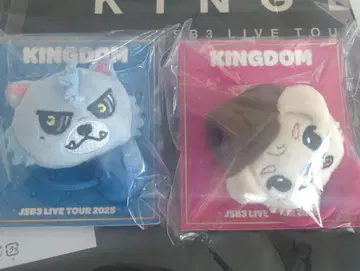 KINGDOM LIVE 2025 헤어 밴드 2개 세트 루브 록키
